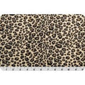 Shannon Cuddle 3 - Cheetah