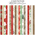 Apple Peel Bundle (19) Quilt Minnesota 2026 - Reds and Browns