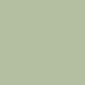 Signature Pure Solids by AGF Studio - Pistachio