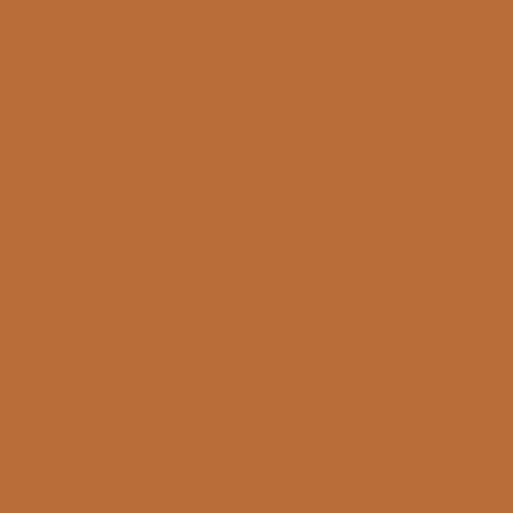 Signature Pure Solids by AGF Studio - Spiced