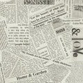 Story by Carrie Bloomston - Newsprint
