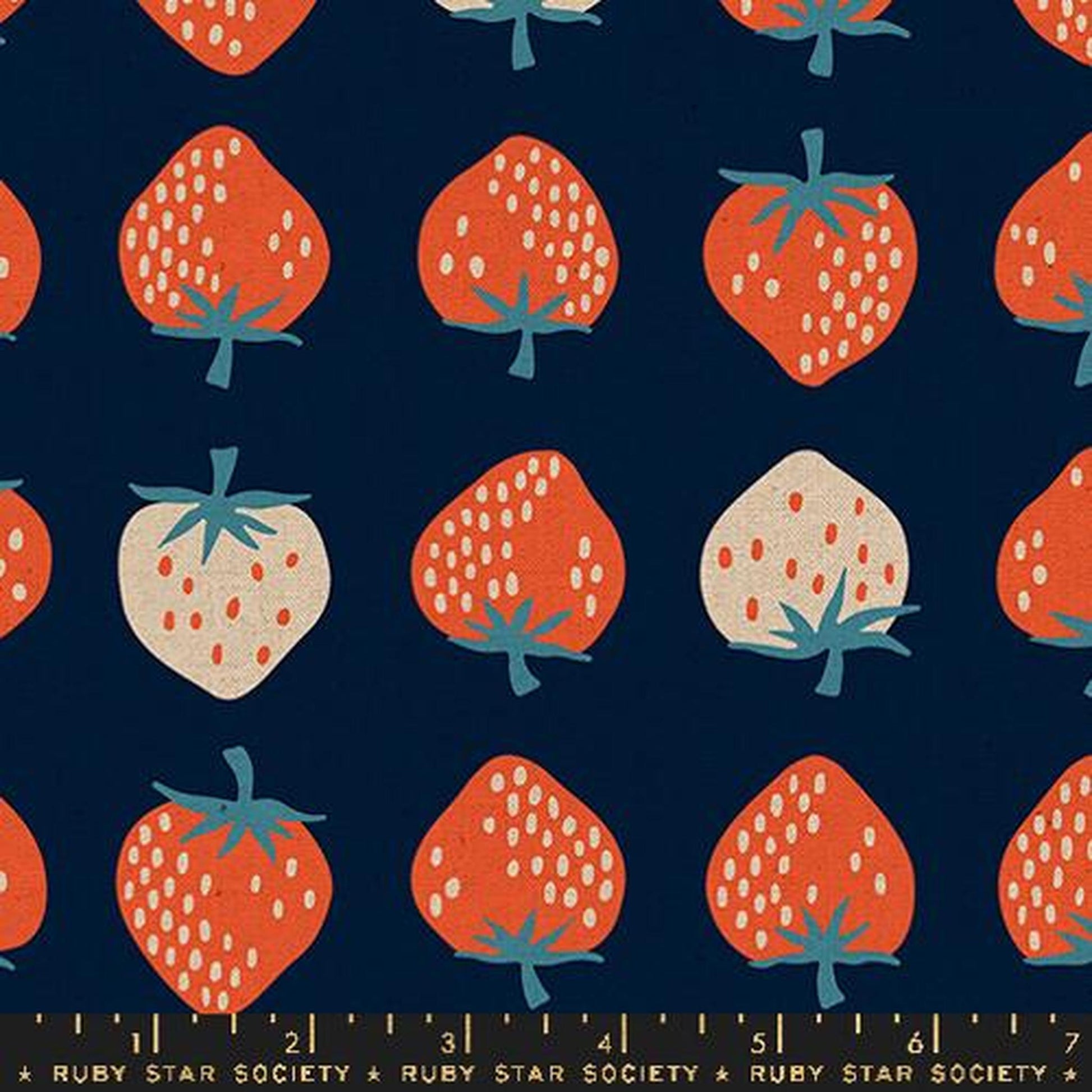 Strawberry by Kimberly Knight - Retro Canvas: Navy
