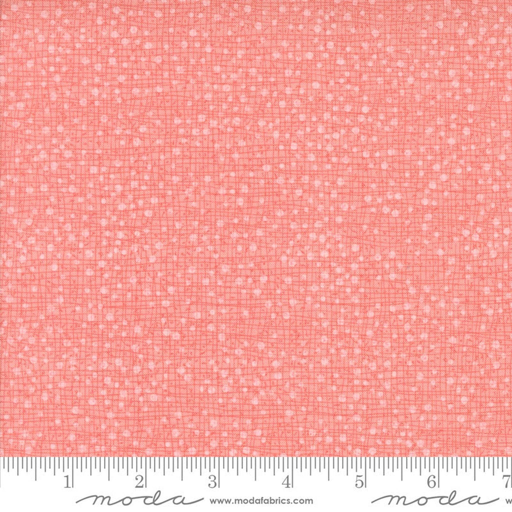 Superbloom Dotty Thatched Carnation by Robin Pickens
