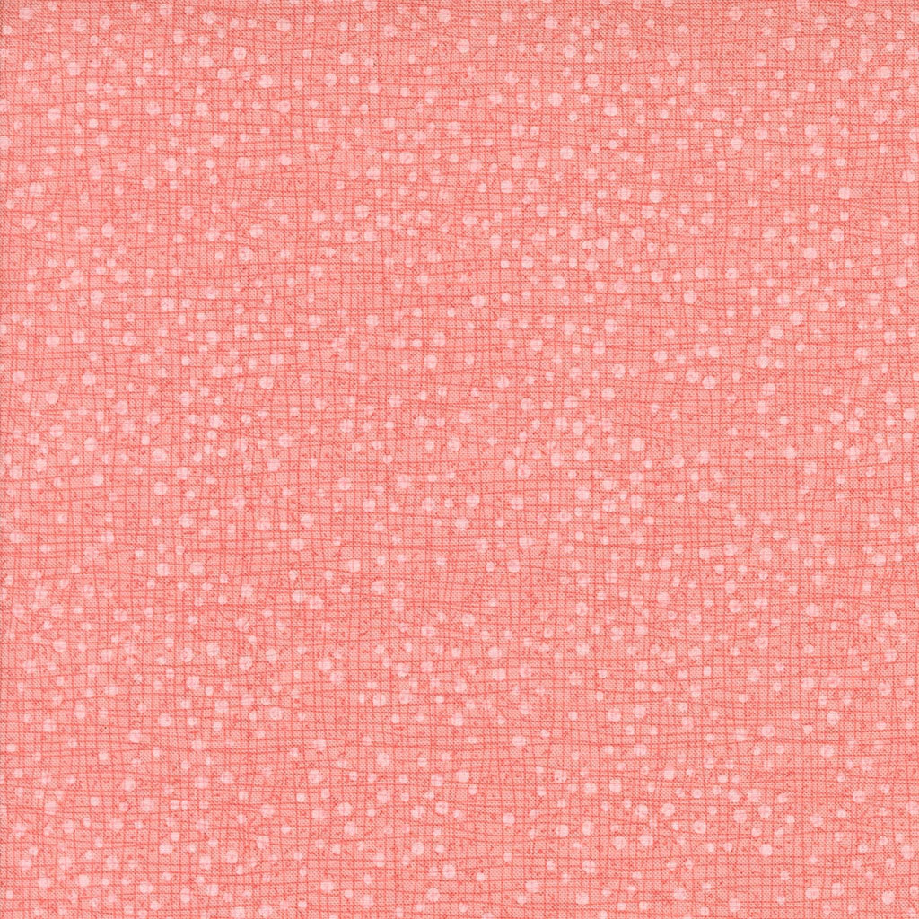 Superbloom Dotty Thatched Carnation by Robin Pickens