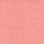 Superbloom Dotty Thatched Carnation by Robin Pickens