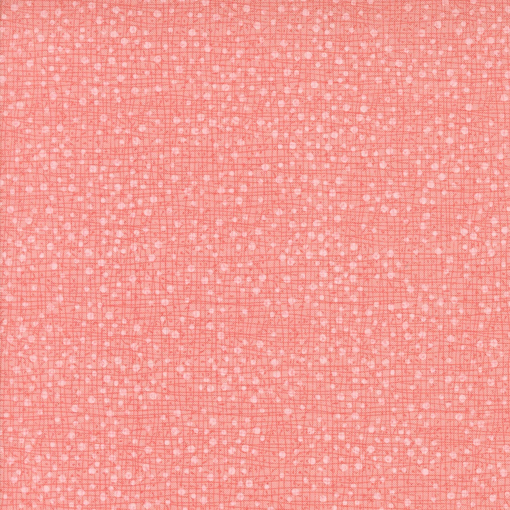 Superbloom Dotty Thatched Carnation by Robin Pickens