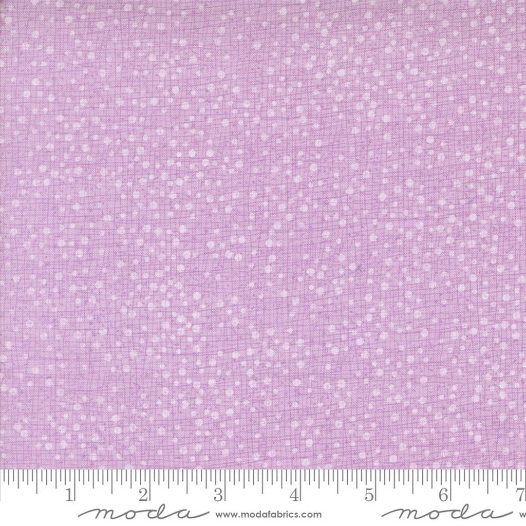 Superbloom Dotty Thatched Freesia by Robin Pickens
