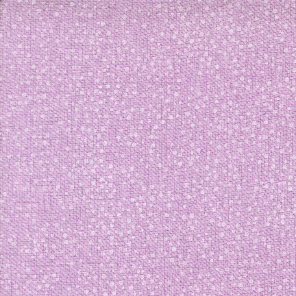 Superbloom Dotty Thatched Freesia by Robin Pickens