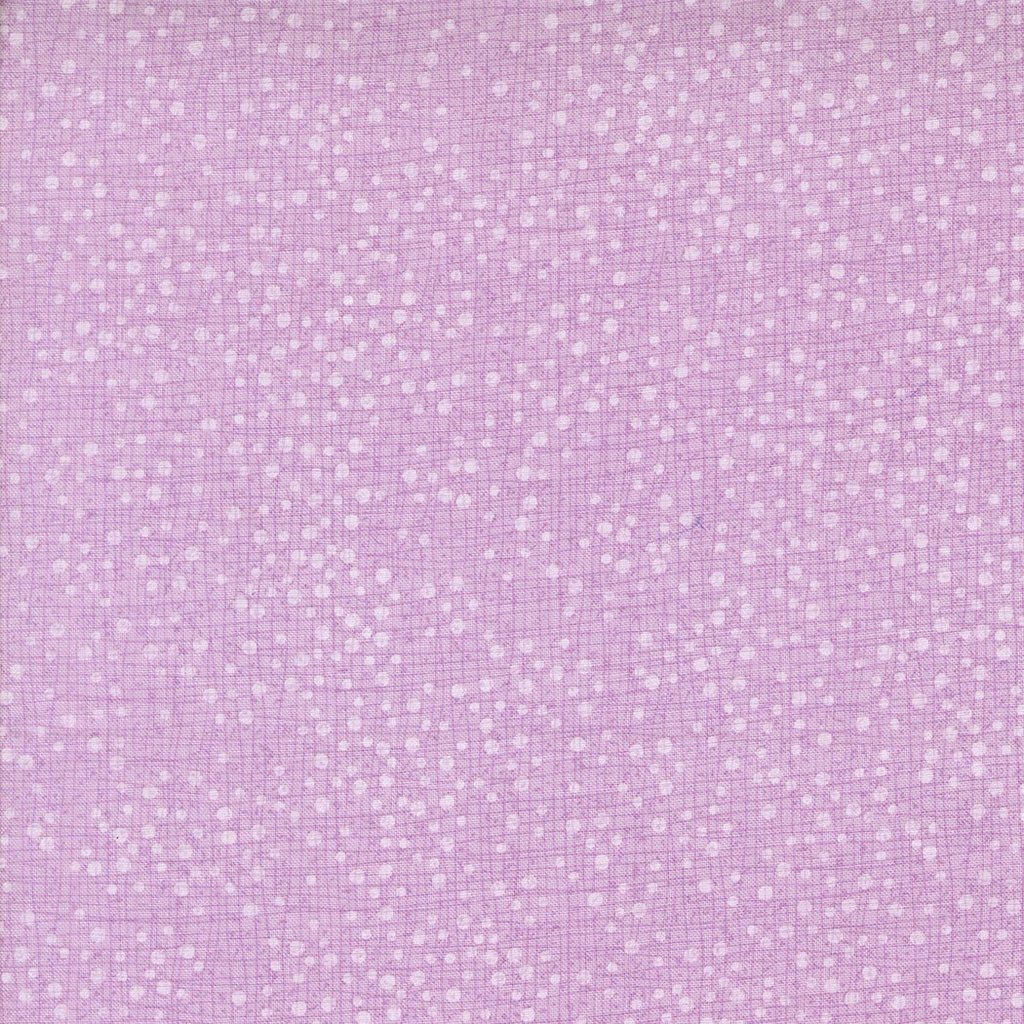 Superbloom Dotty Thatched Freesia by Robin Pickens