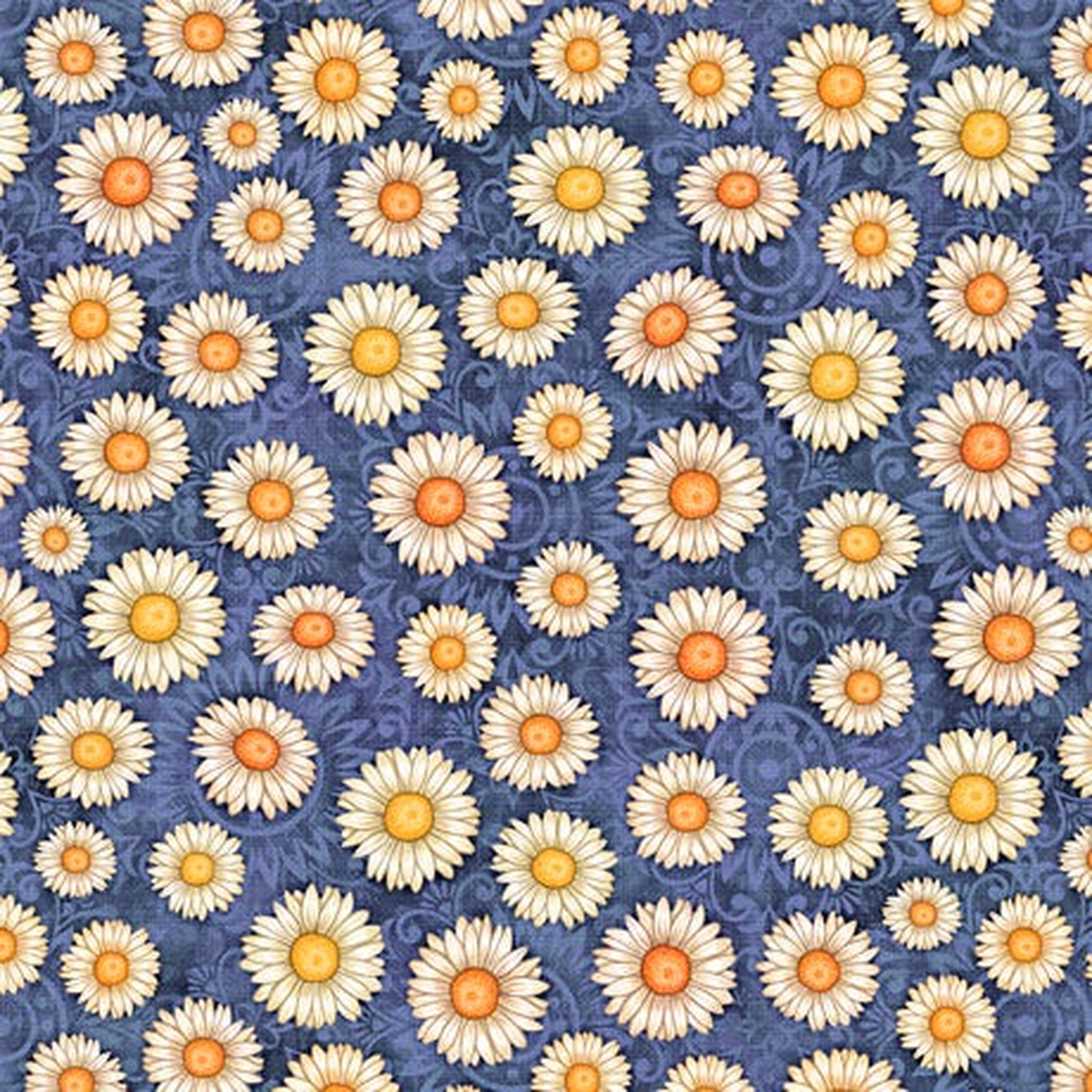 Sweet as Honey by Dan Morris - Daisy Toss - B