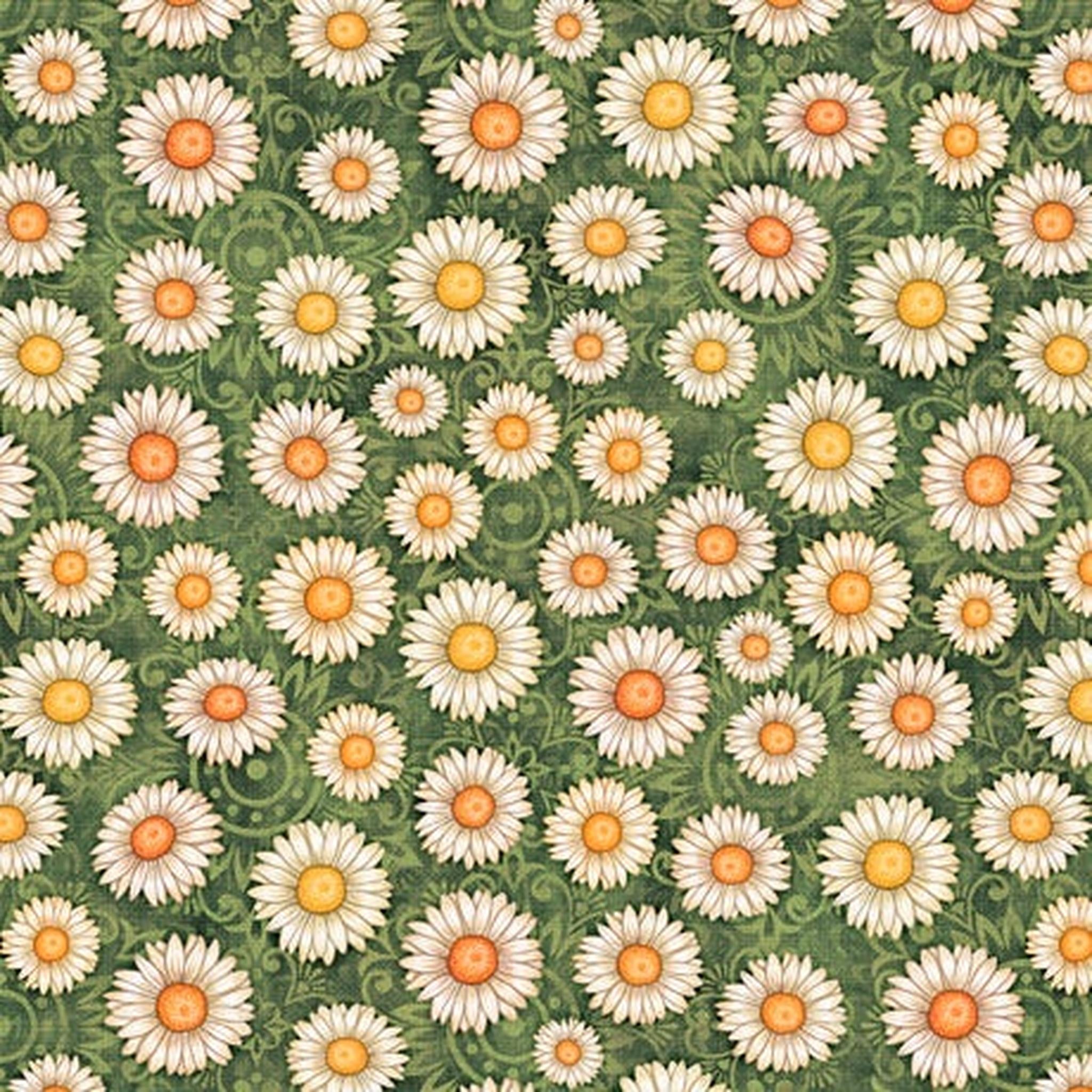 Sweet as Honey by Dan Morris - Daisy Toss -G