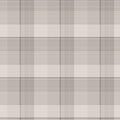 The Mountains are Calling | Window Pane Plaid - Cream