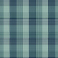 The Mountains are Calling | Window Pane Plaid - Teal