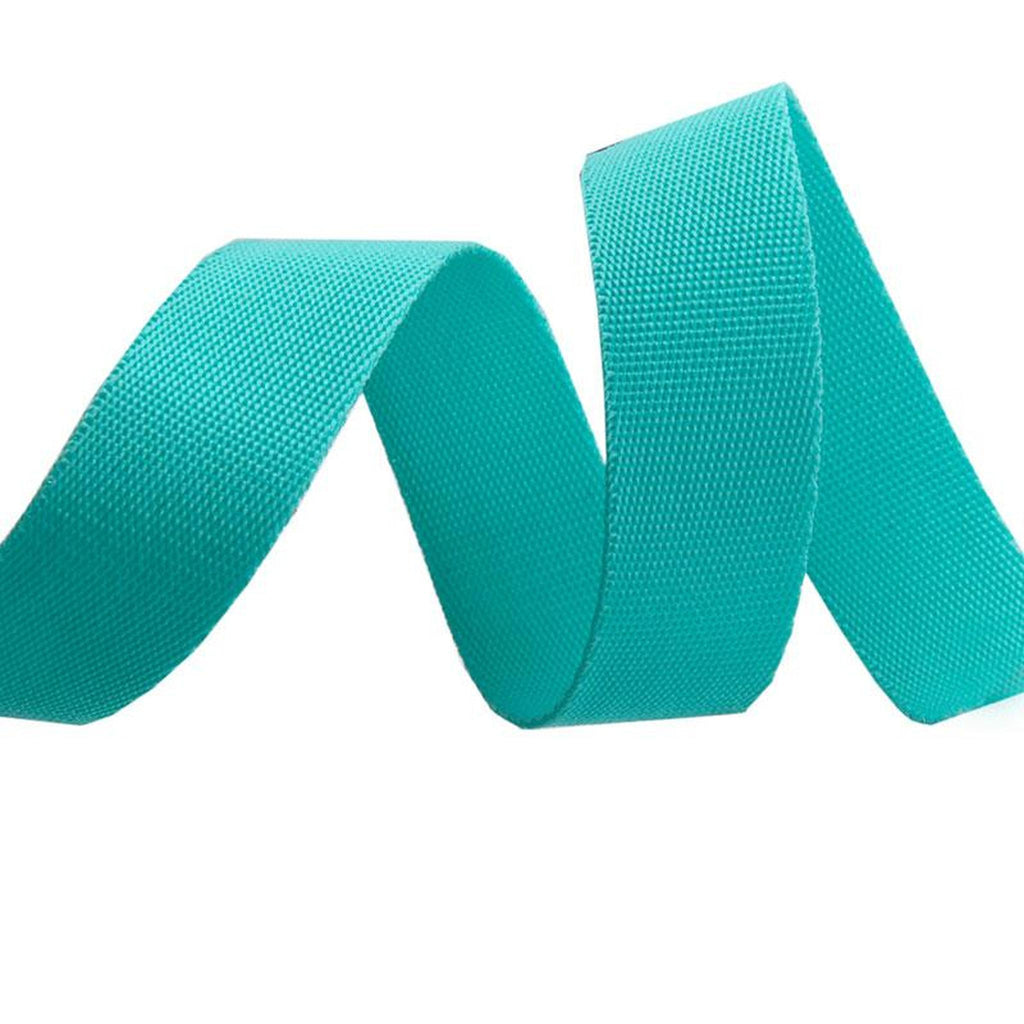 Tula Pink EverGlow Webbing 1" Teal/Spirit