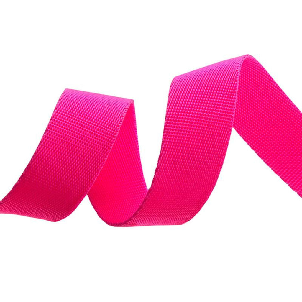 Tula Pink Everglow Webbing 1" Cosmic/Pink