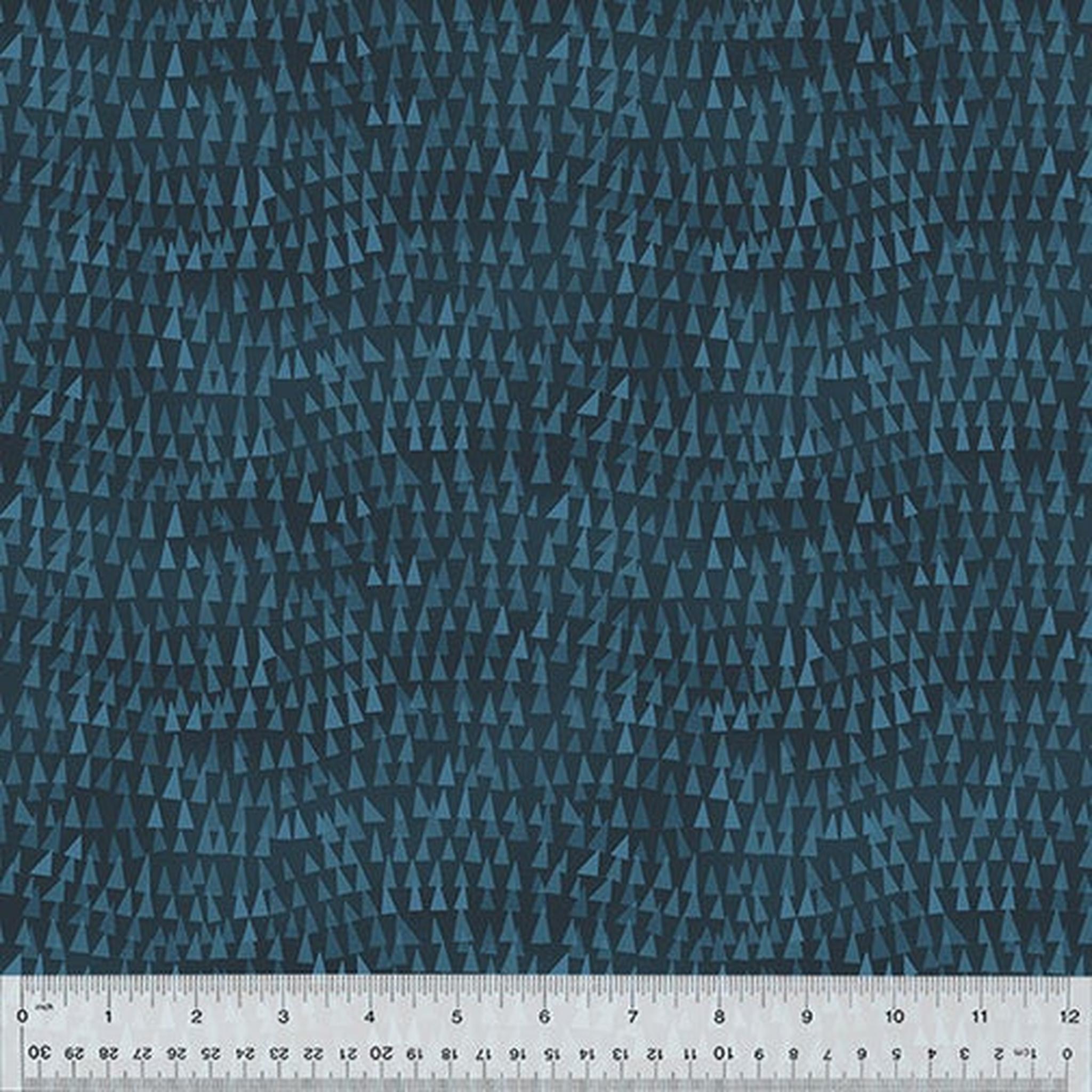 Wild North Triangle Tops - Navy