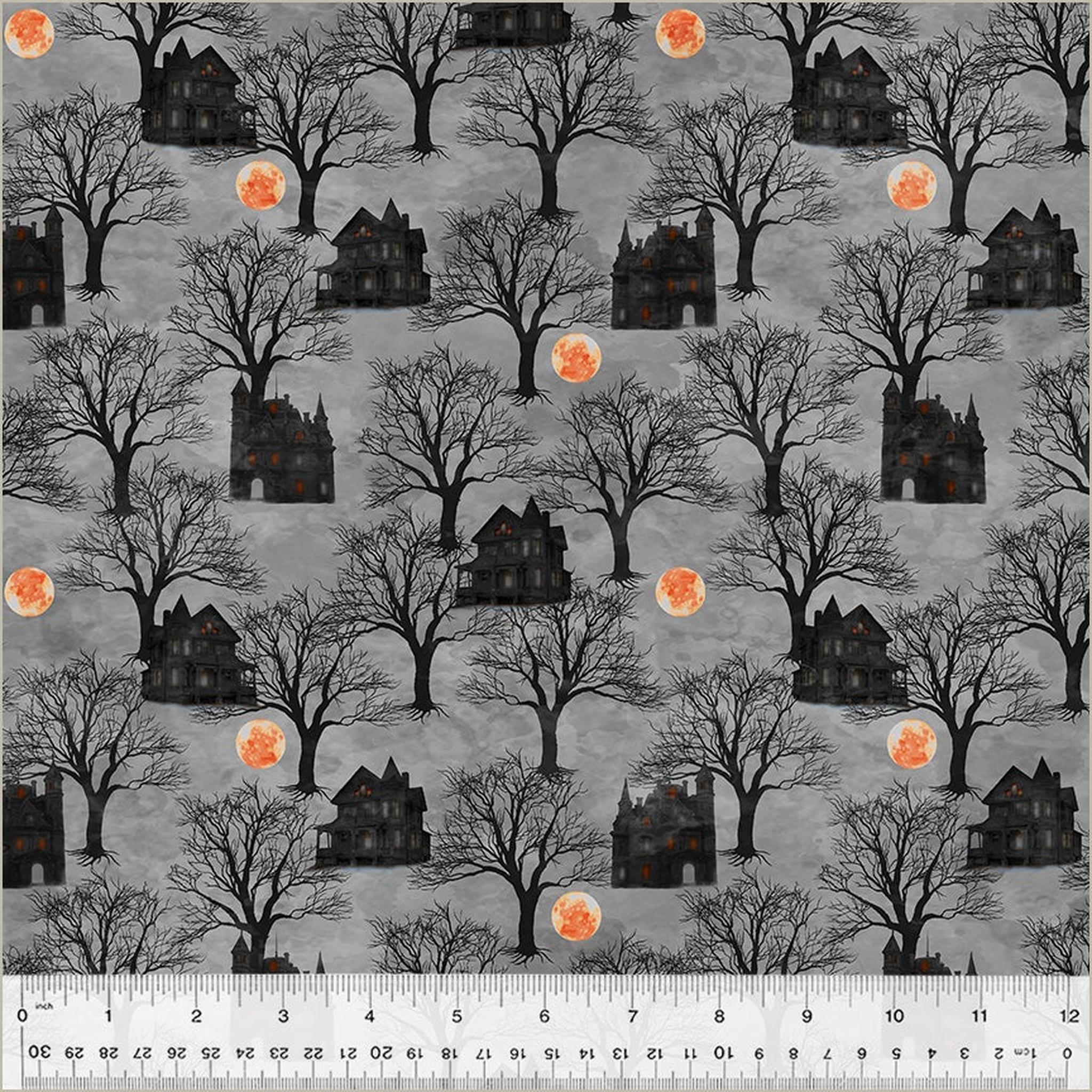 Windham Full Moon by Whistler Studios - Haunted House: Shadow