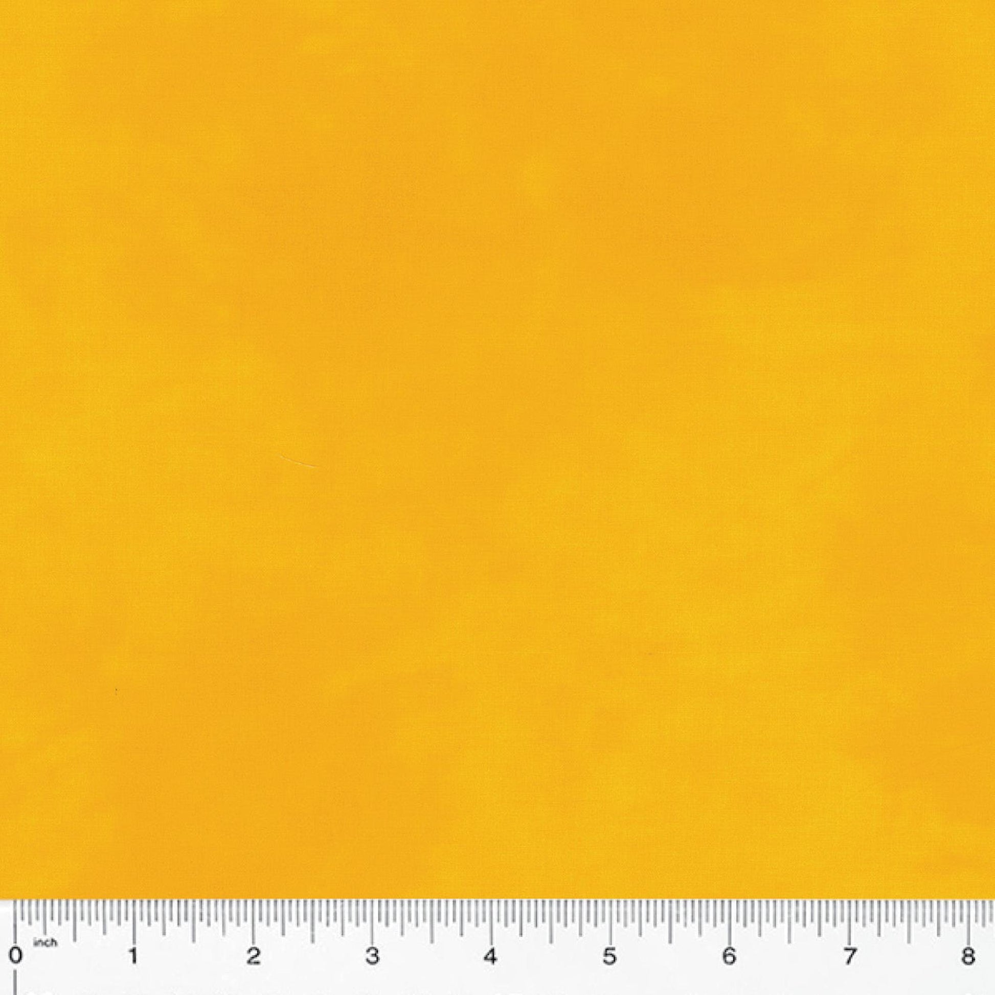 Palette by Marcia Derse - Daffodil
