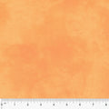 Palette by Marcia Derse - Orange Cream