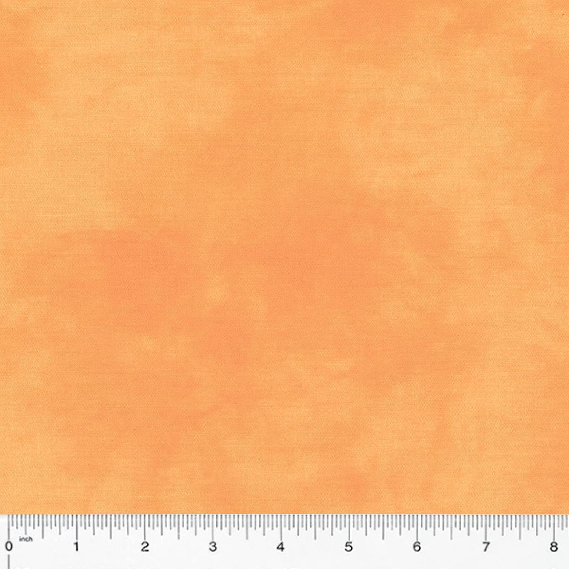 Palette by Marcia Derse - Orange Cream
