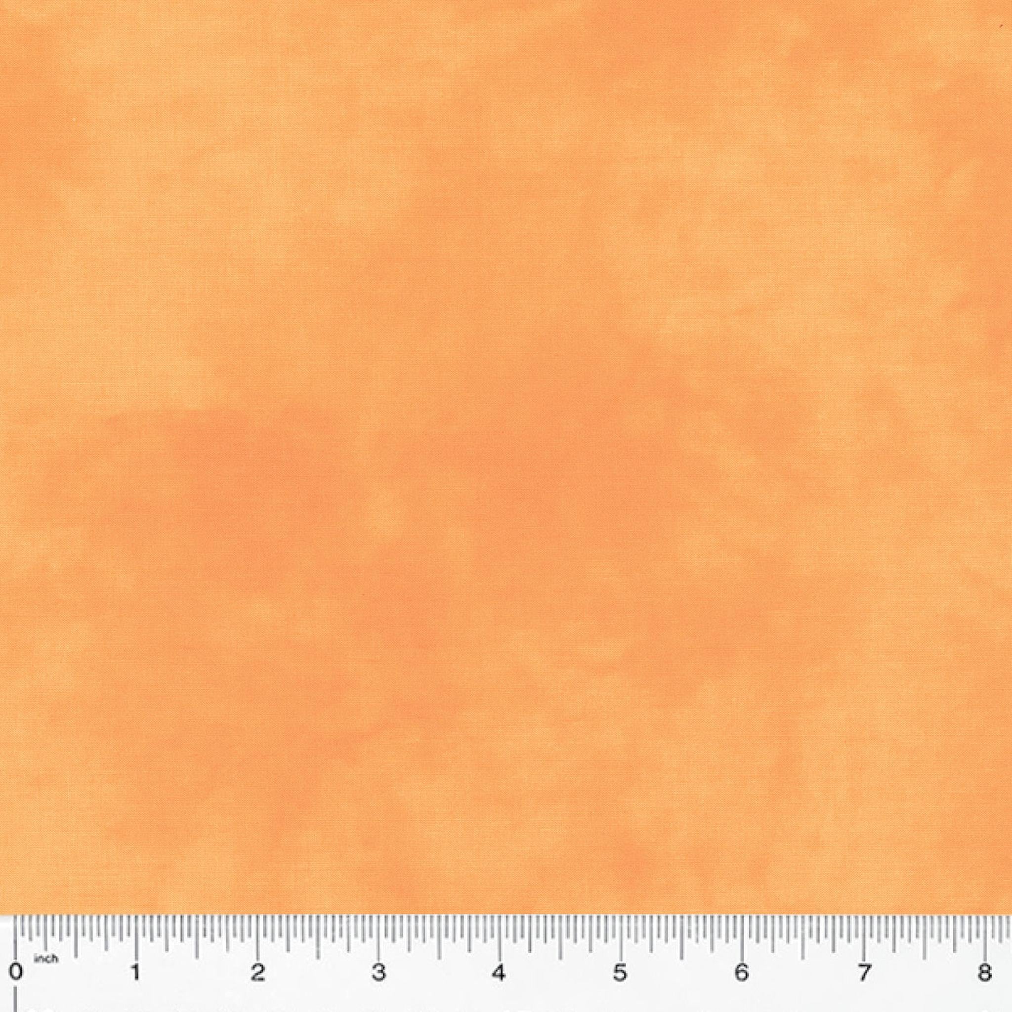 Palette by Marcia Derse - Orange Cream
