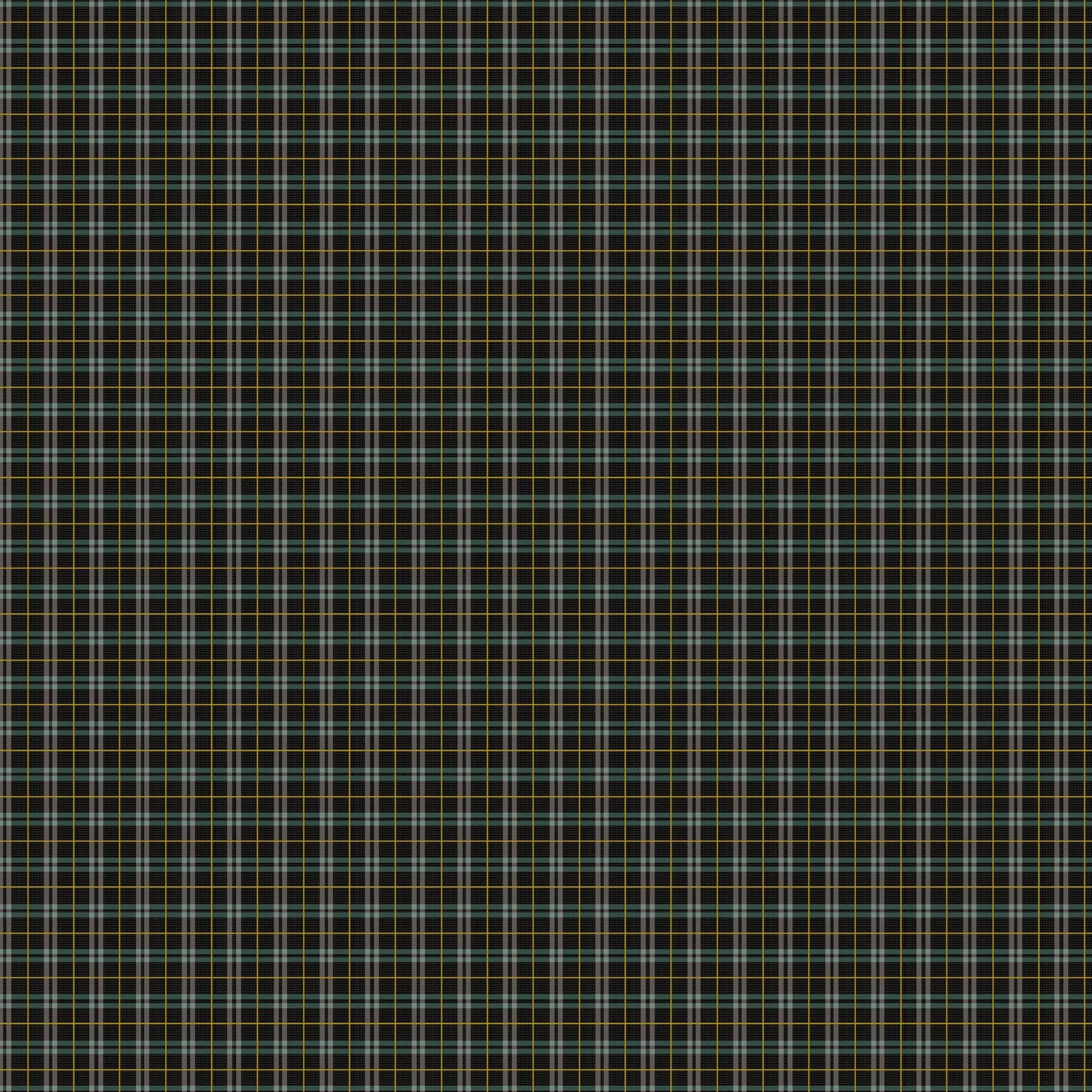 Winter Dreams by Bernadett Urbanovics Gingham: Black