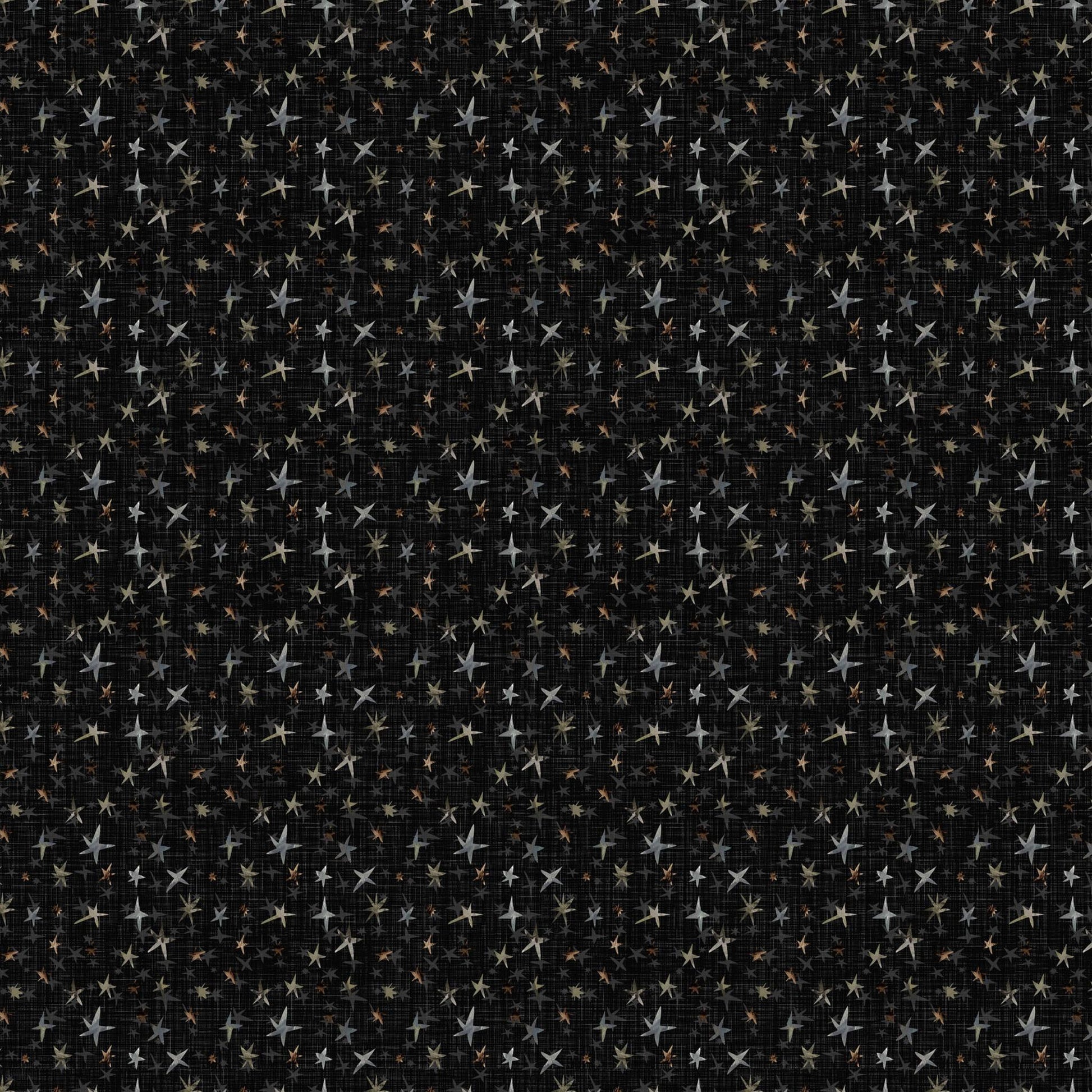 Winter Dreams by Bernadett Urbanovics Stars: Black