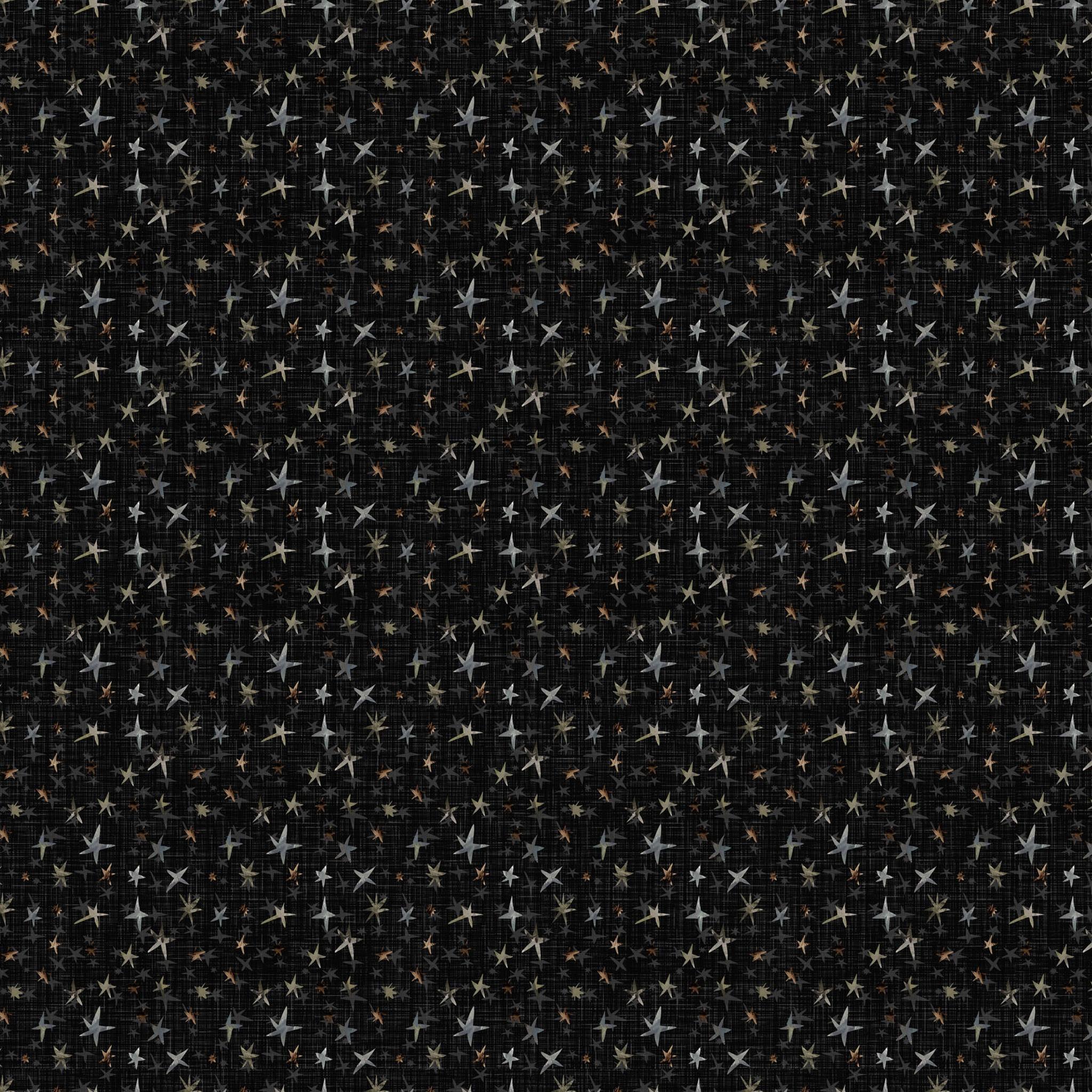 Winter Dreams by Bernadett Urbanovics Stars: Black