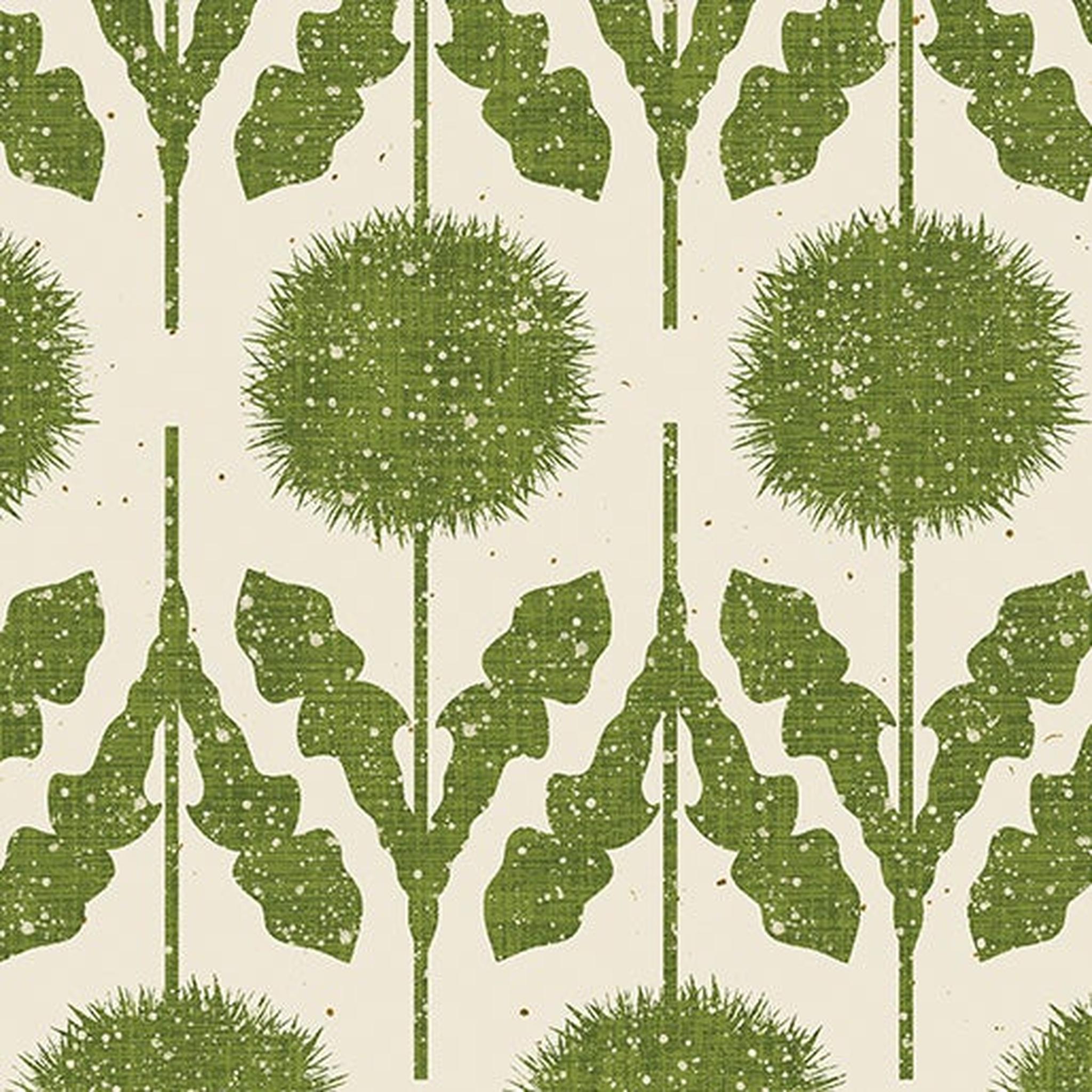 Wishflower by Rachel Rossi - Border Moss