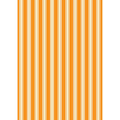 Witchy Woods by Lewis & Irene - Terrifying Ticking Stripe: Halloween Orange (Glow in the Dark)