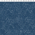 Quilt Minnesota 2026 Shop Hop Digital Snow Dot Light Navy