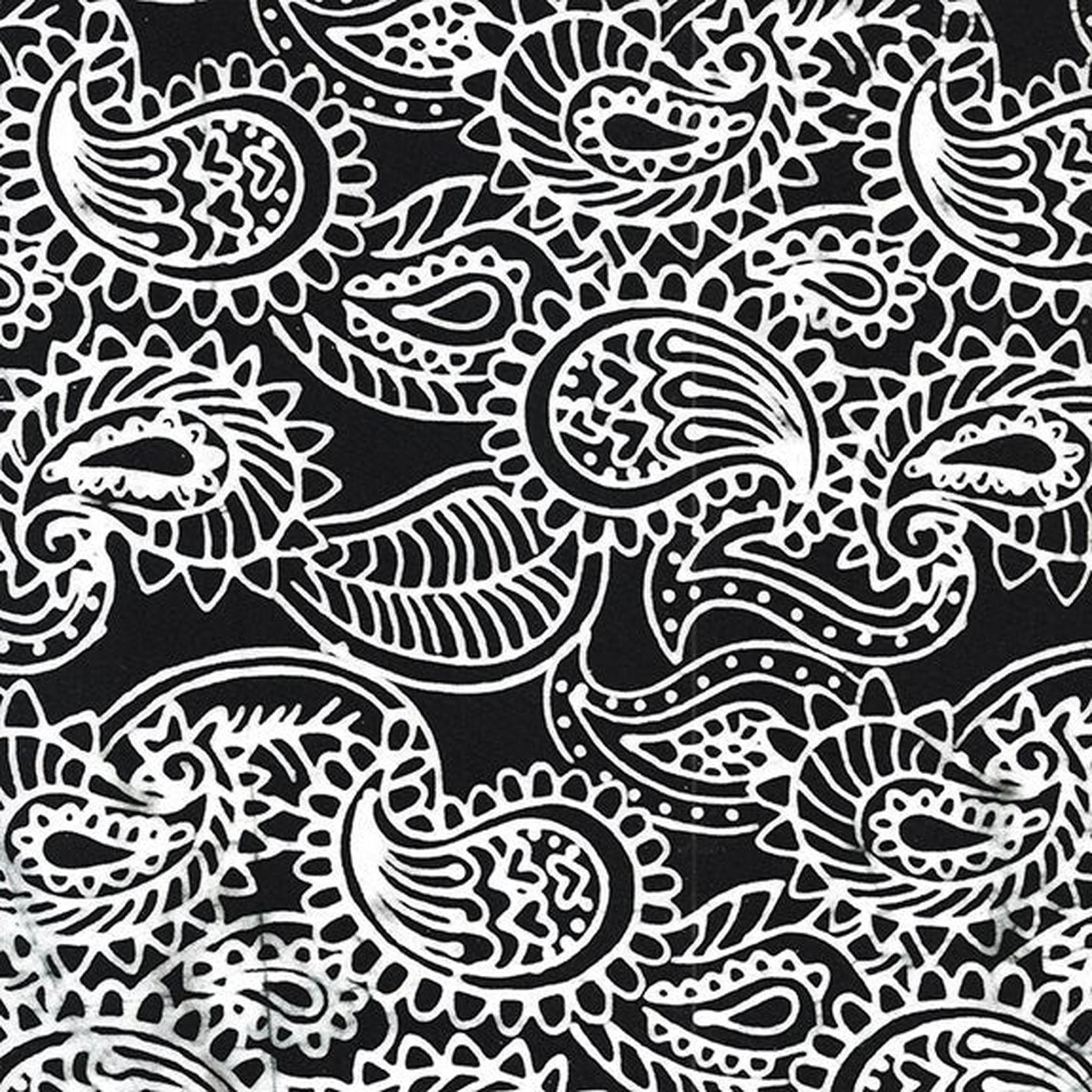 Zen Funk by Kathy Engle Groovy Paisley: White & Black