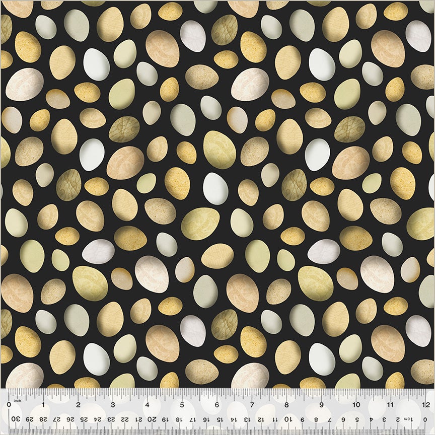 Boho Chicks by Whistler Studios - Fresh Eggs: Black