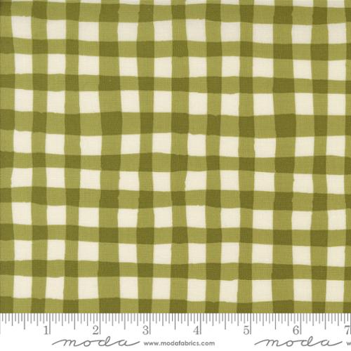 Emmitt and Ivy Gingham - Pine