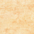 Chalk and Charcoal - Peach Fuzz