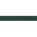 Polypro Webbing / Strapping - 1" Forest