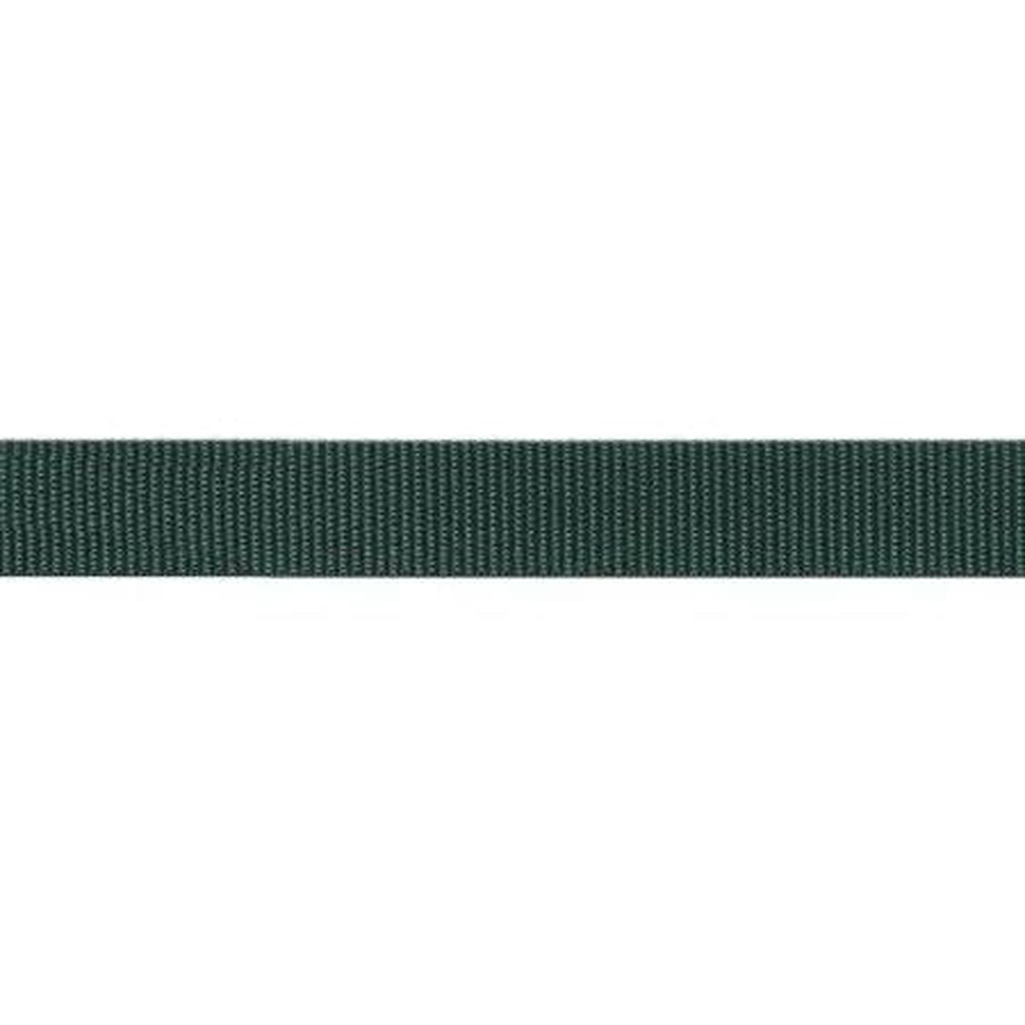 Polypro Webbing / Strapping - 1" Forest
