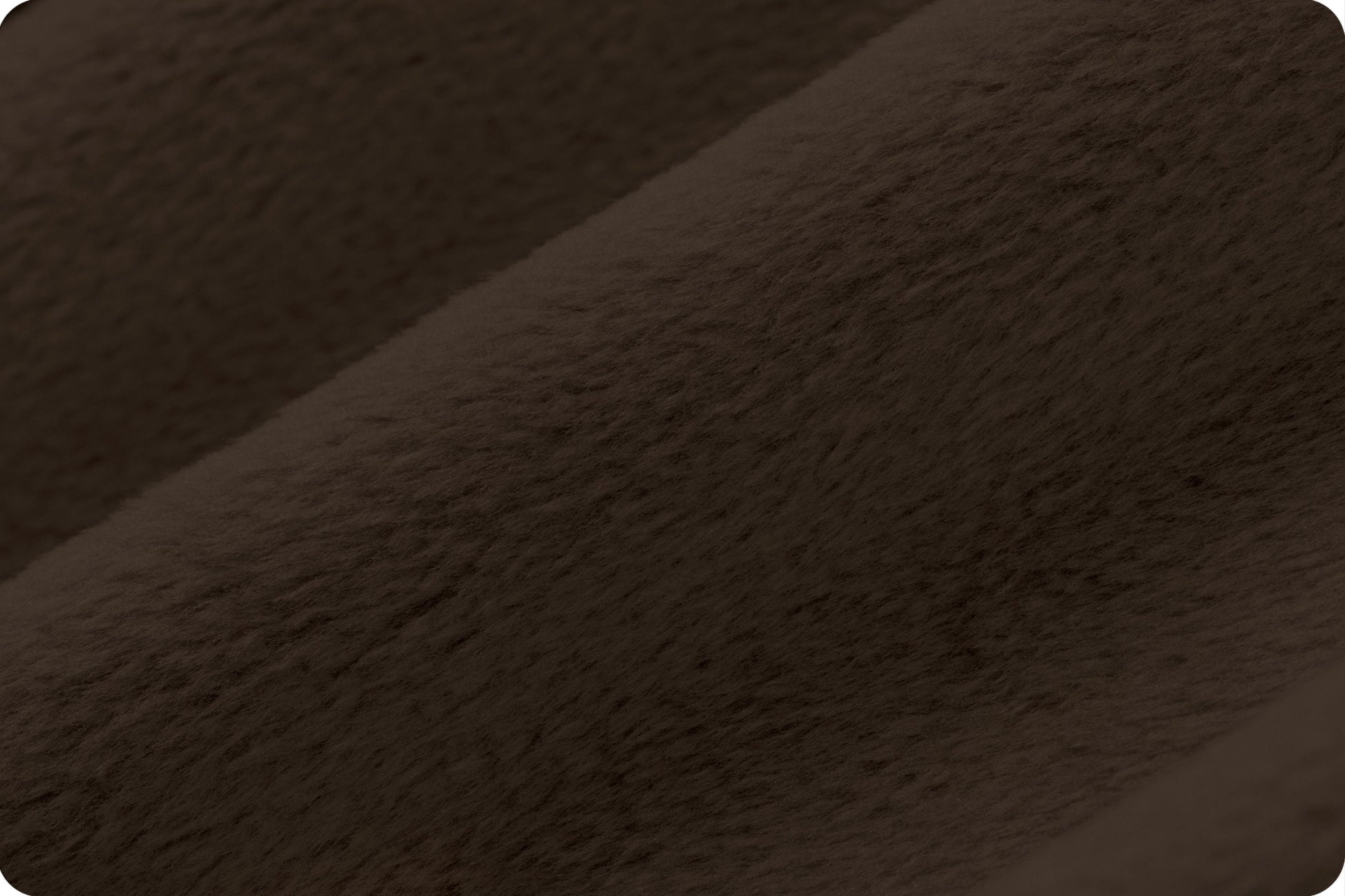 Shannon Cuddle 3 - Cofee