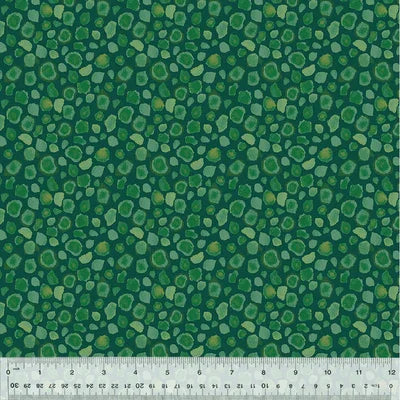 King of the Jungle | First Spots - Lagoon