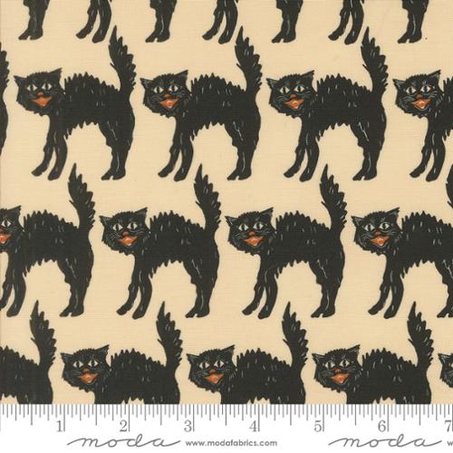 Home Sweet Haunt by Stacy Iest Hsu - Little Black Cat: Bone