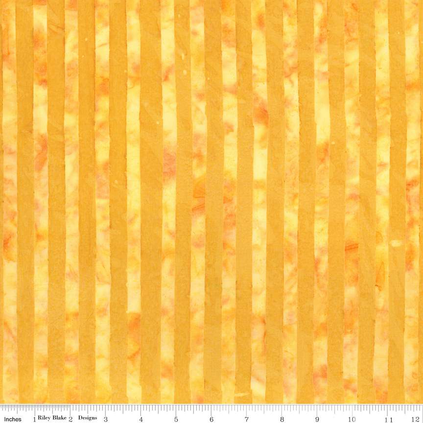 Expressions Batik Elementals by Riley Blake - Get in Line: Sunshine