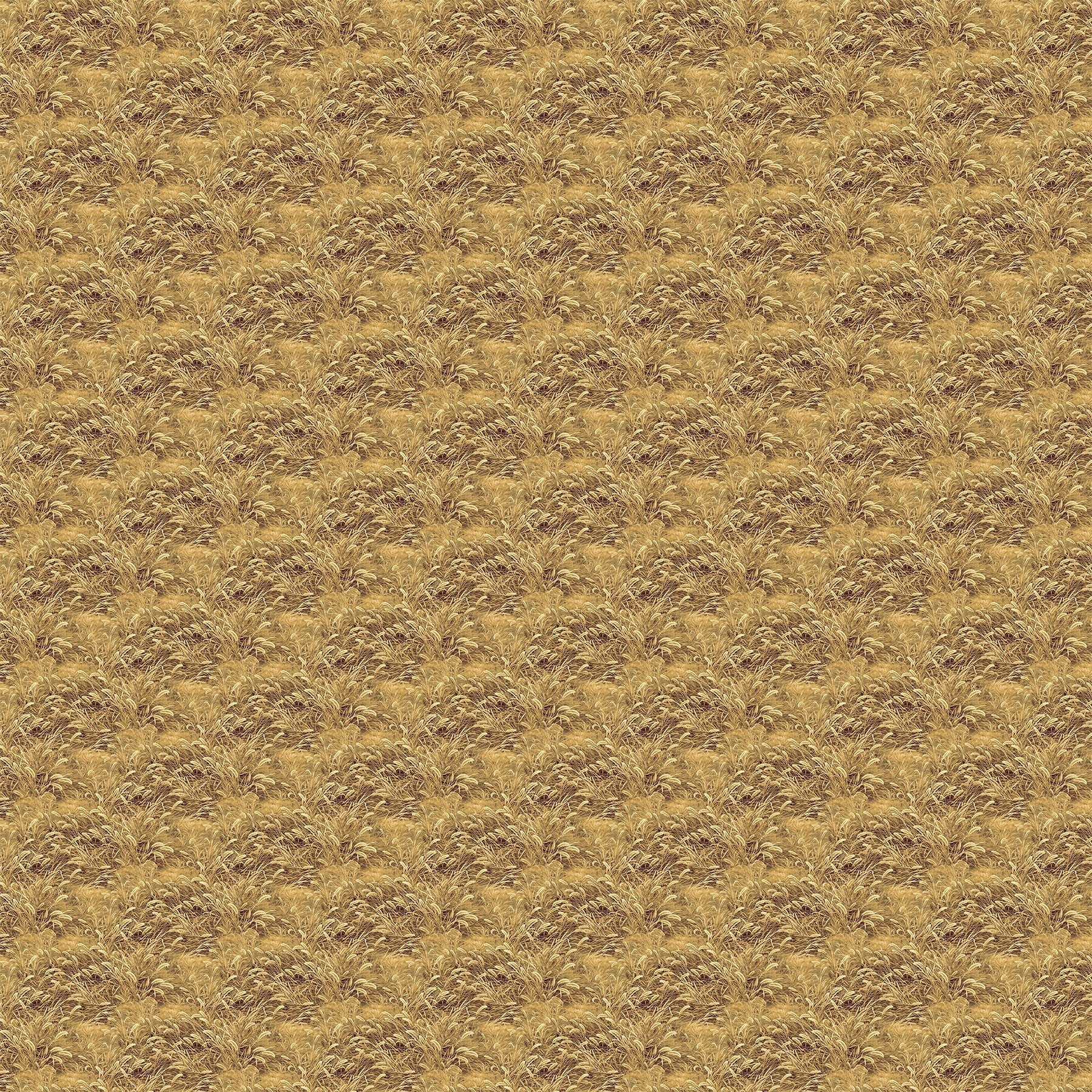 Naturescapes by Deborah Edwards - Prairie Grass Ochre