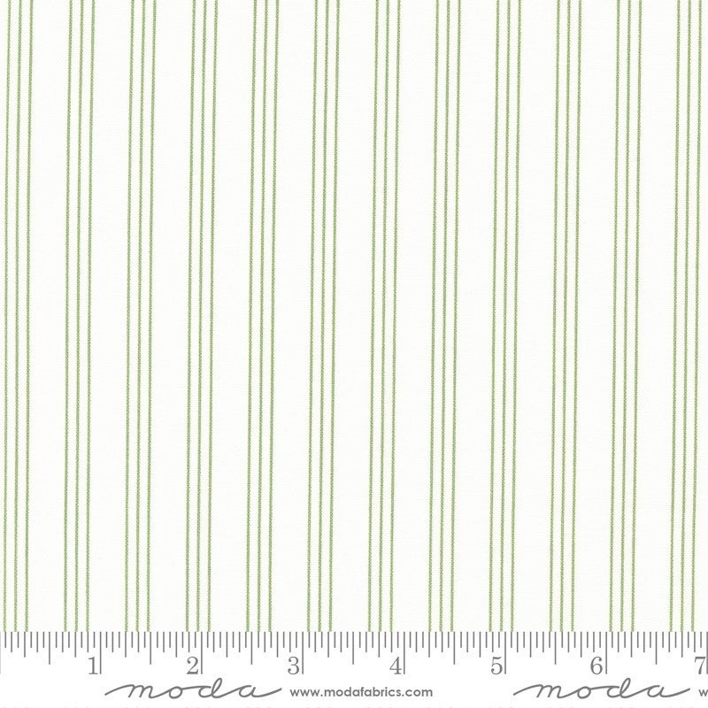 Lighthearted by Camille Roskelley Stripe Cream Green